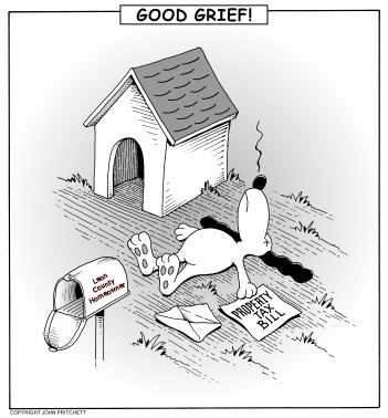 Florida Property Taxes