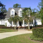 Tallahassee's Golden Eagle Expert