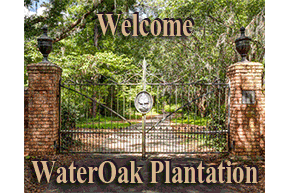 Southern estate home for sale WaterOak Plantation