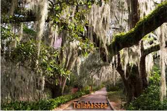 Where To Retire - Tallahassee Florida