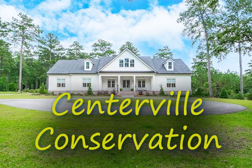 Located in NE Tallahassee, Centerville Conservation stands out as a premier neighborhood, home to luxury residences.