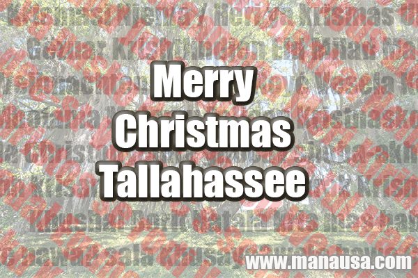 129 Ways To Say Merry Christmas Tallahassee