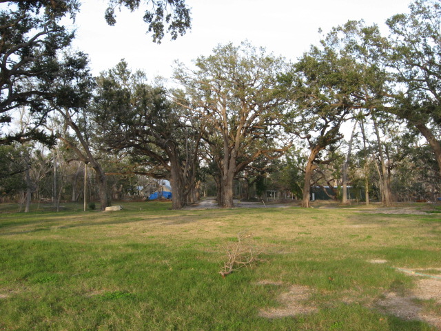 tallahassee-vacant-lot-picture