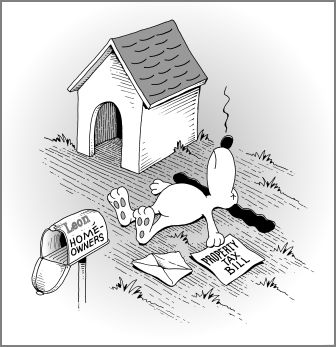 Condo Taxes In Tallahassee